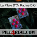 The Golden Root Gold Pill 14